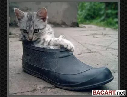 Кружит ветер