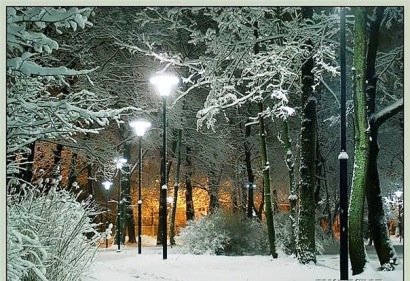 Первый снег