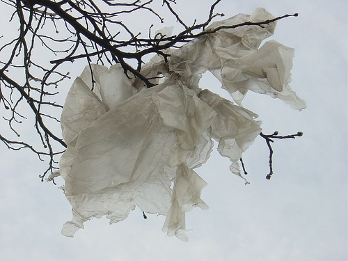 Целлофановый ангел