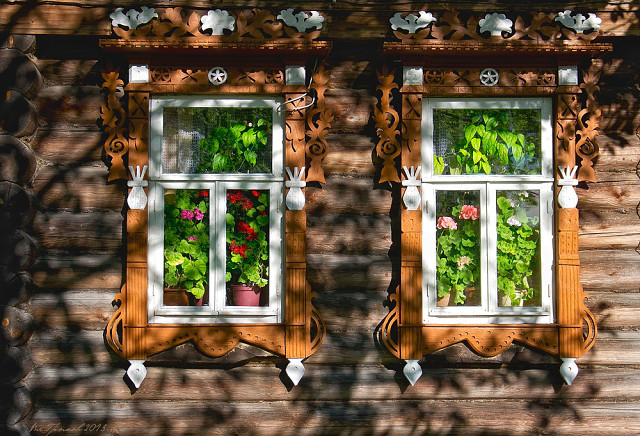 Цветет герань