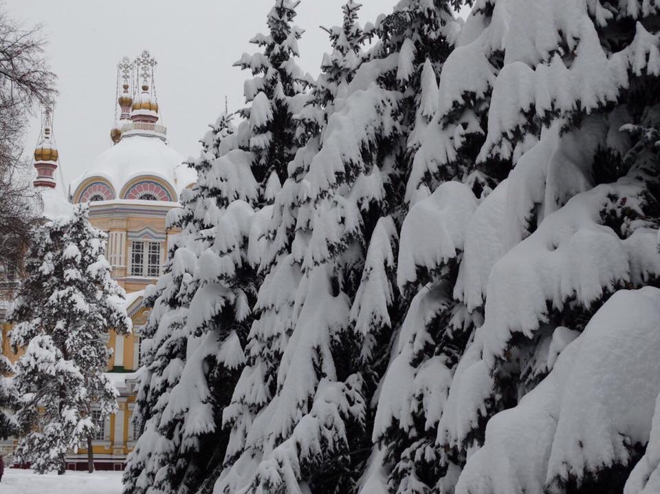 Белый снег пеленает мысли