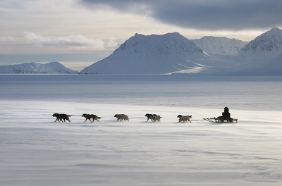 Снежные километры