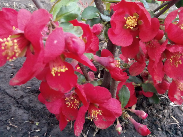 Вопрос один тревожит разум мой