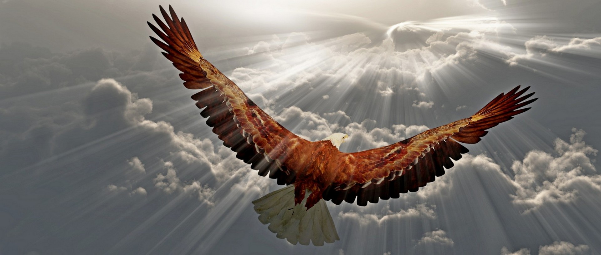 Кто ты такой?! (Петр Ковалев) / Стихи.ру