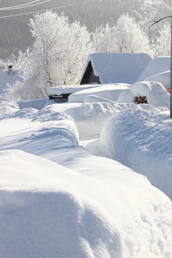 Ты меня заворожила!