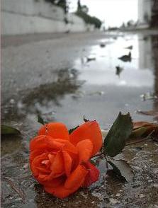 Рассвет в картинной галереи