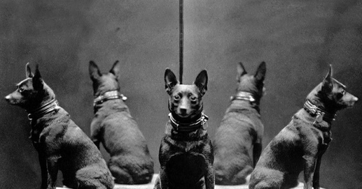 Притча Зеркальный зал