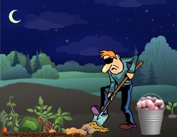 Ночная битва