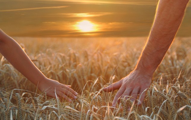 Тишина, как чистота...