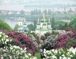 Сиреневая роща