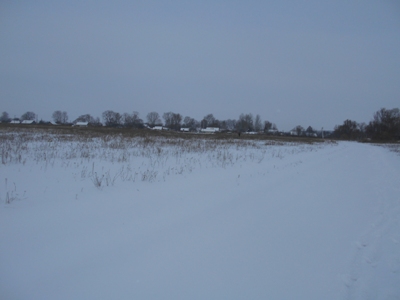 В родном краю