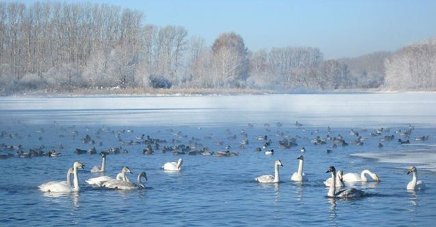 Отступает заснеженный вечер