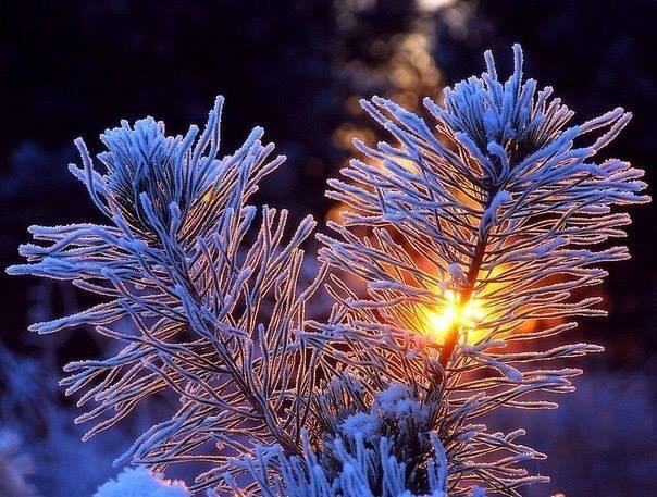 Ангел улыбнулся