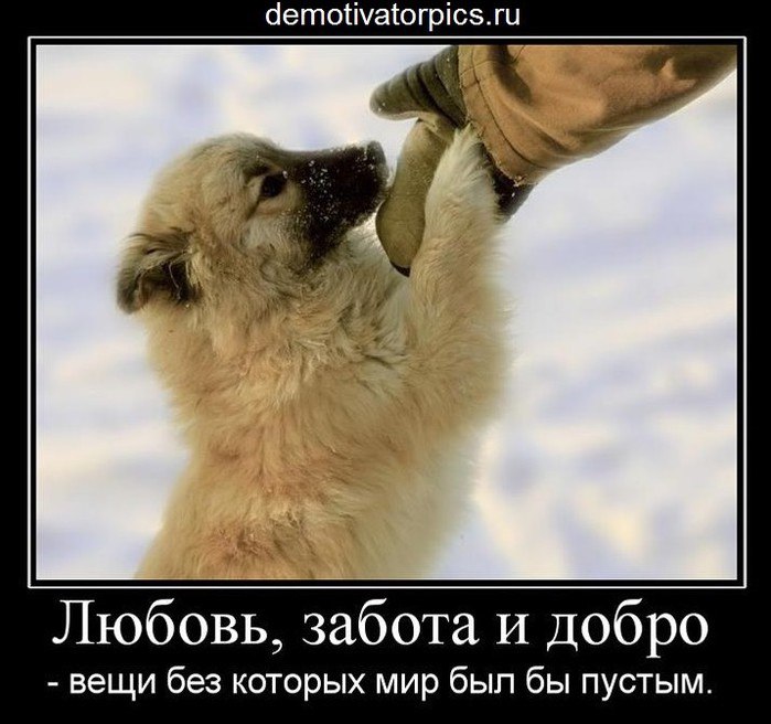 Хочу...