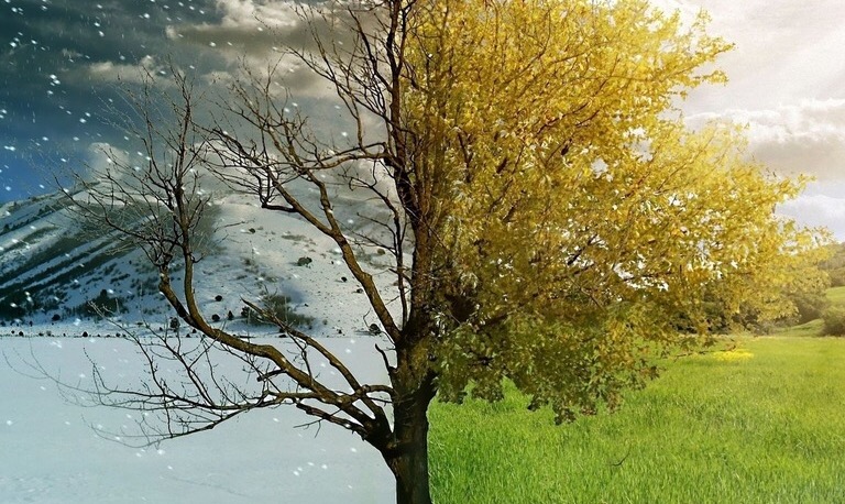 Природа-тема для сюжета