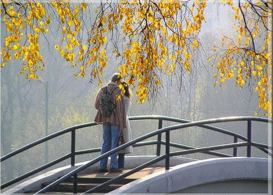 Дождись меня