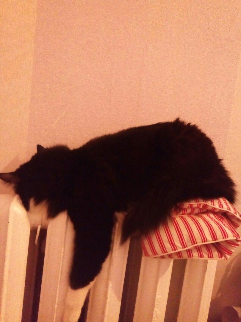 Старые приметы...