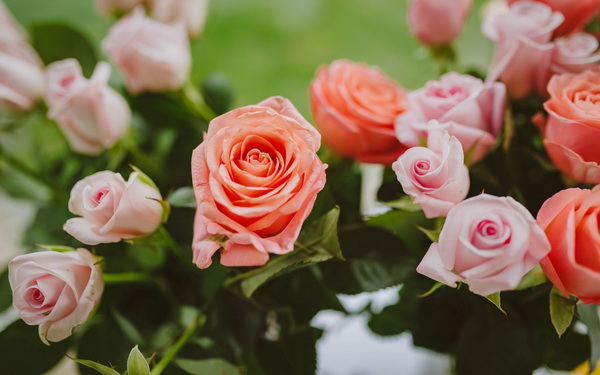 Воспоминания о лете