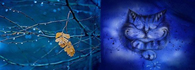 дом с котом