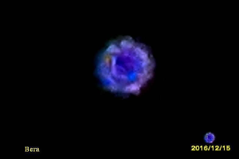 Вега 0105 15 декабря 2016 (Фэлатом) / Стихи.ру