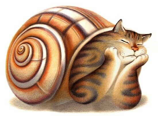 В Пустоте. 2014 г