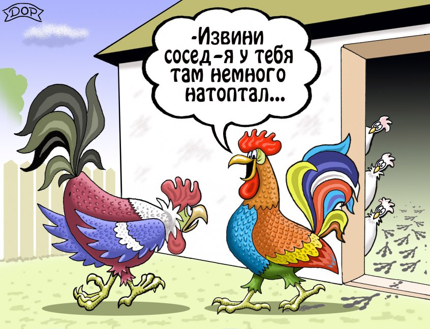 что рулем курицы отмечают новый год смешные картинки расположенный лесу берегу