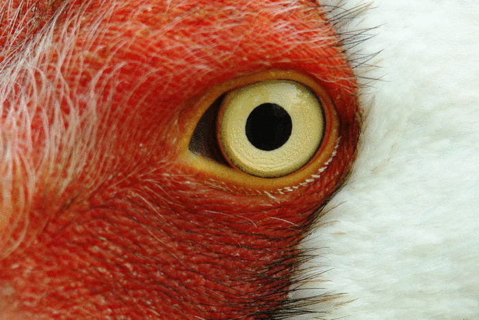 Зима крепчает... Зарисовка с натуры