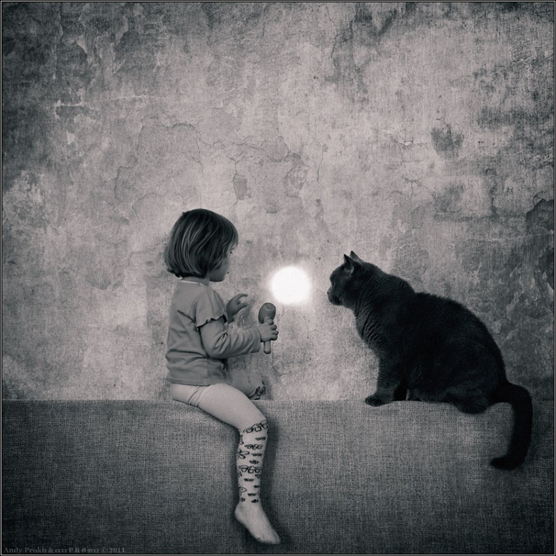 Бумерангом