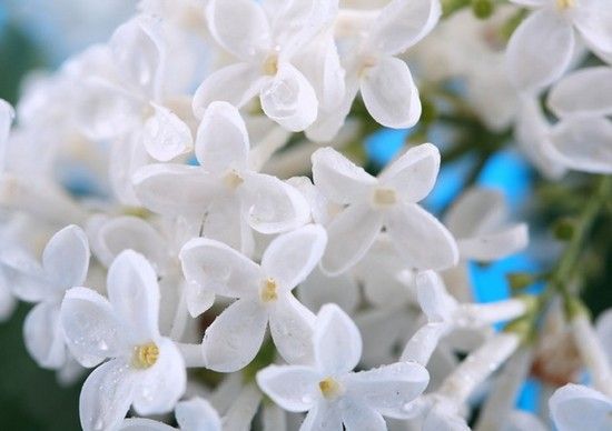 Зима хранит...