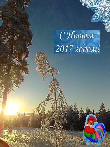 Вместе встречать Новый Год!