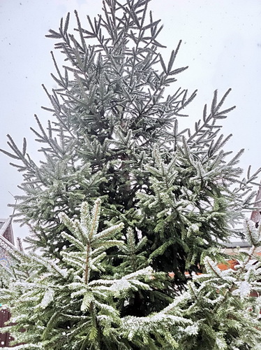 Будто юг теперь не юг