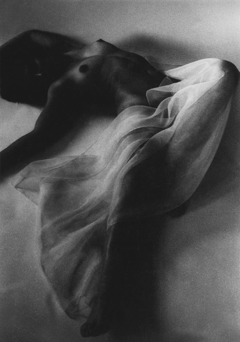 Уехать к морю. Следовать за тенью