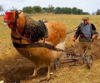 Случайный фактор