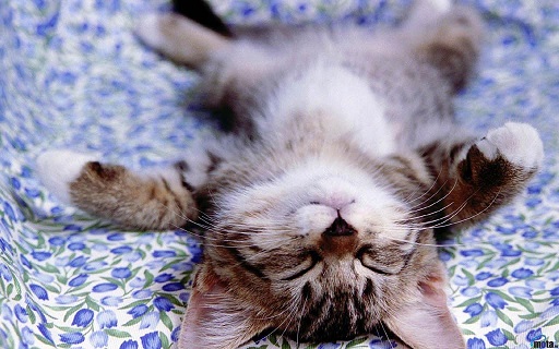 Молочный сон