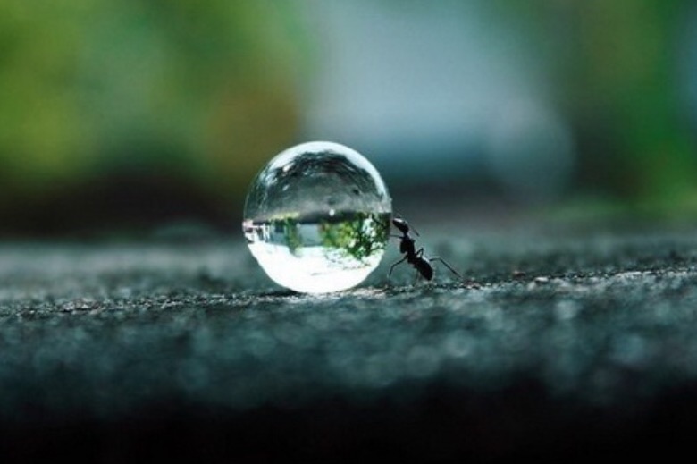 Мелькают дни в калейдоскопе дел земных, страницы