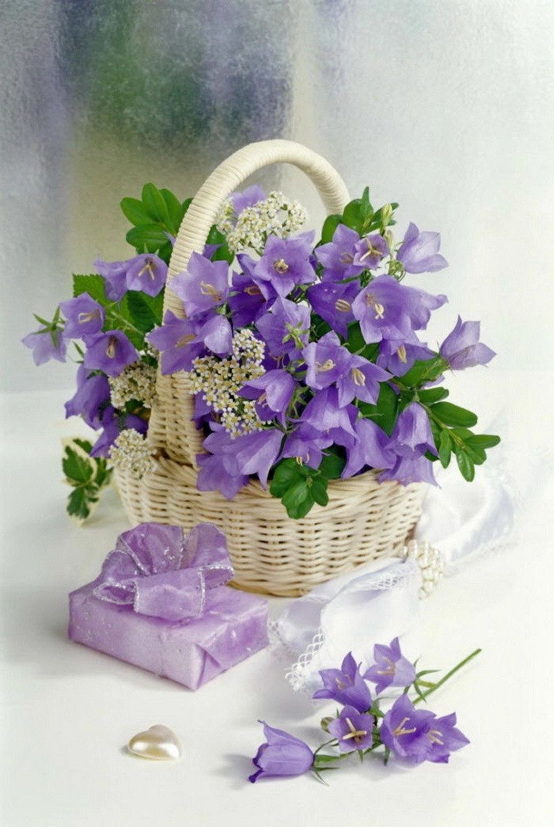 Сердце открытое, чистое...