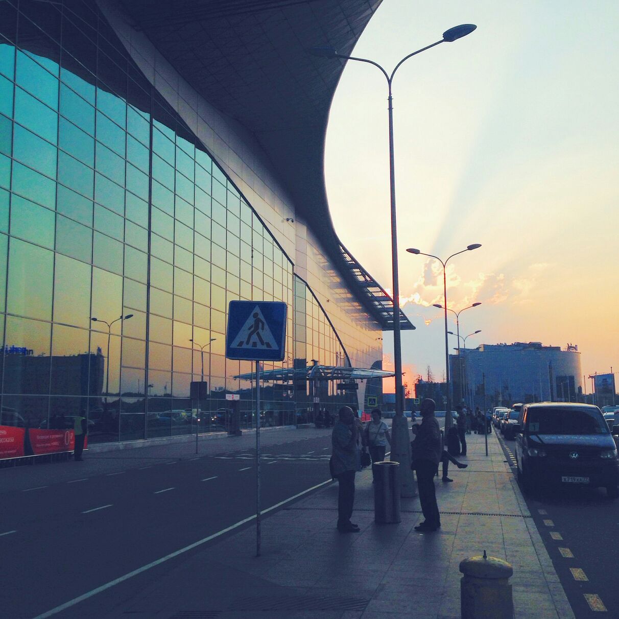 Гнездо совы