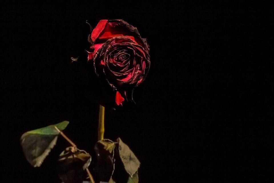 Мумии не живые