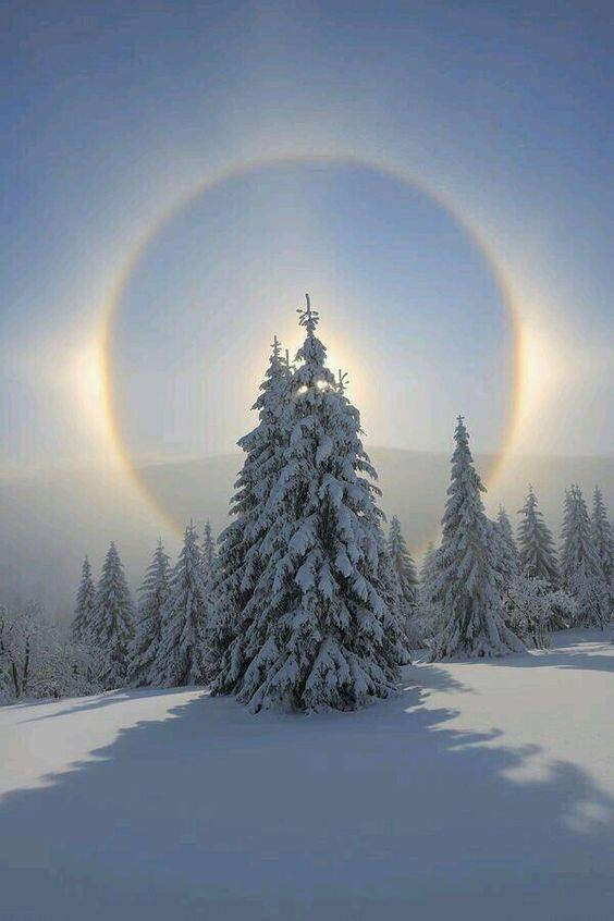 Зима повсюду!