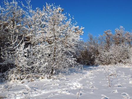 Подожди, не спеши... с переводом на сербский язык