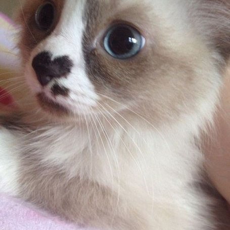 Всё ясно без слов...