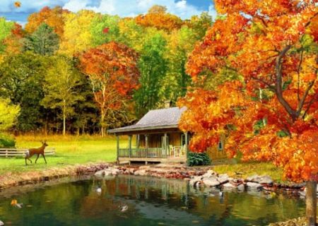 Идеал осени