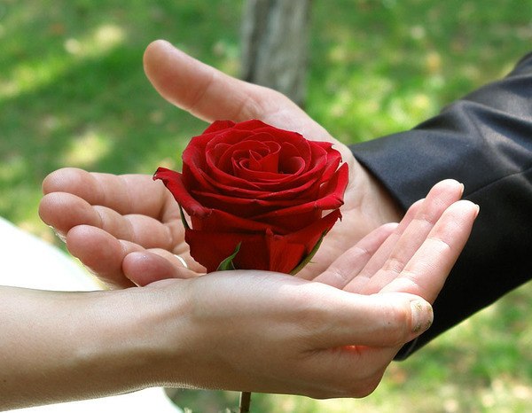 Ах, только бы не опоздать!