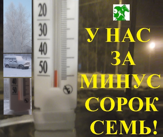 У нас за минус сорок семь!