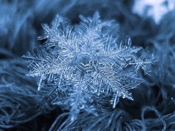 То ли дождь, то ли снег?