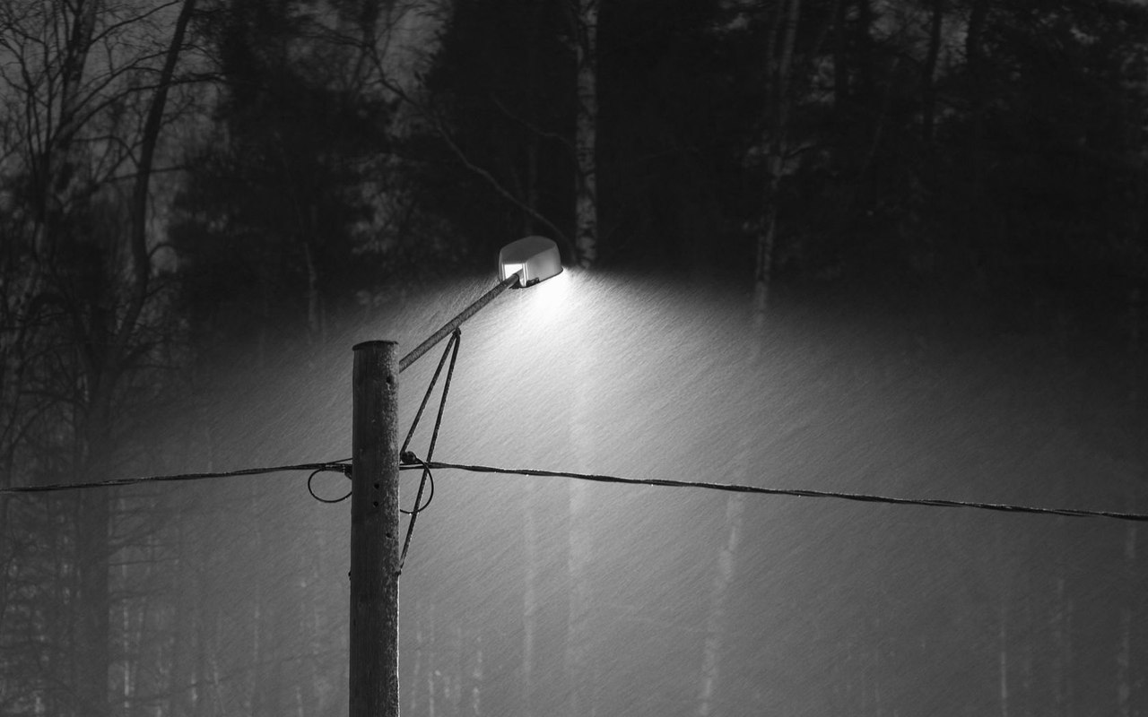 плоть фонарей, взращенная в асфальте...