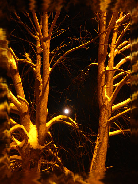 Письмо Деду Морозу