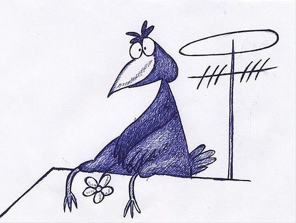 Рисунки смешных ворон