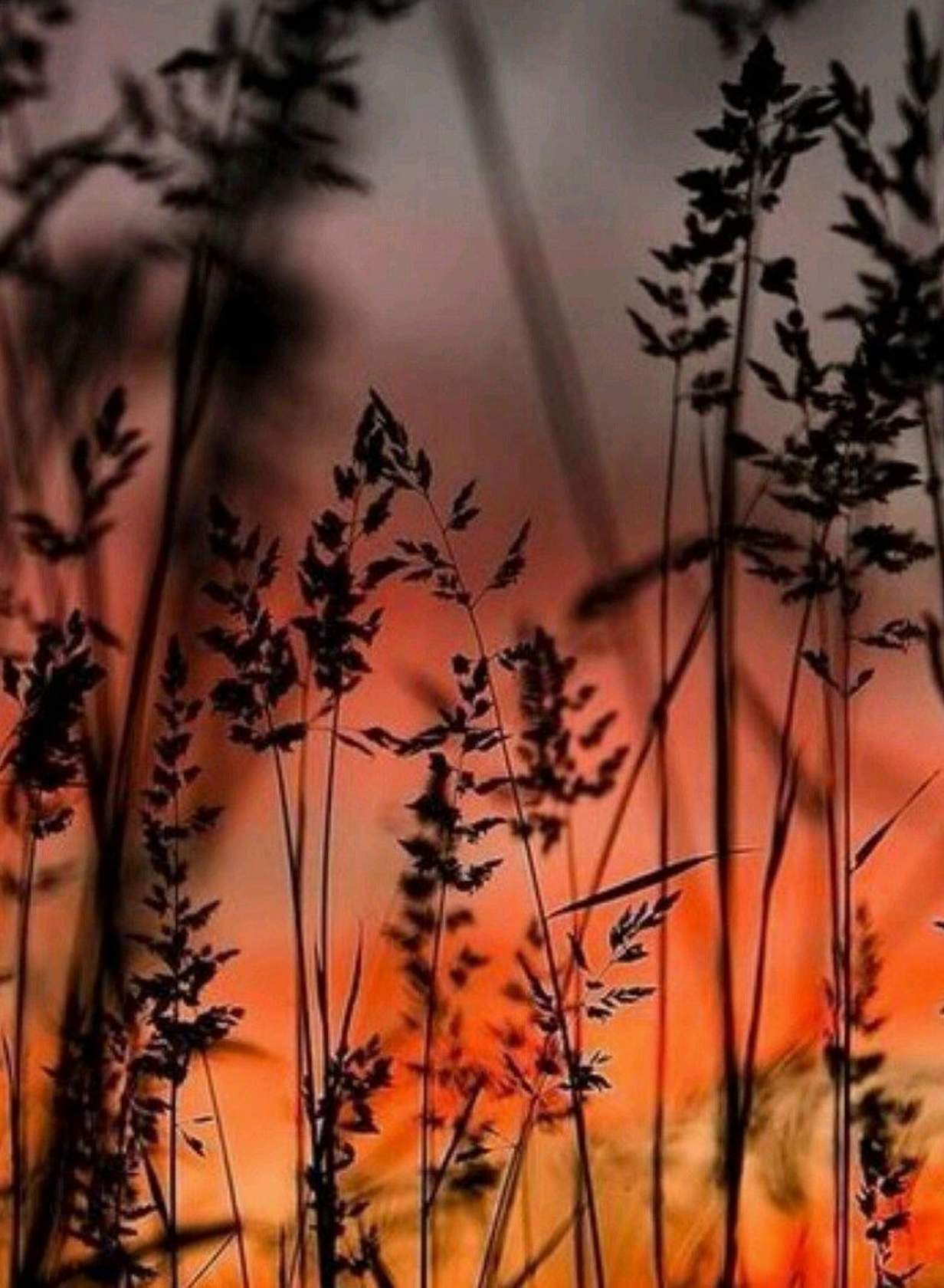 Природы лик твоё виденье...