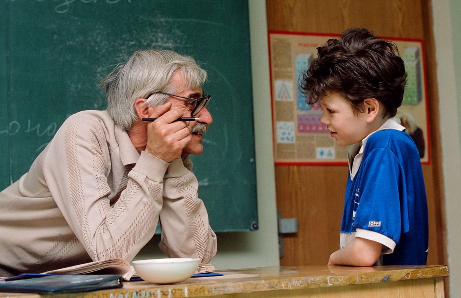 Наполовину вырубленный лес, Высокие дрожащие осины